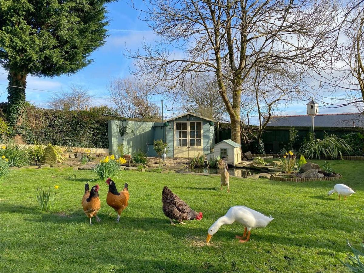 Apartamento The Duck House Swansea Exterior foto