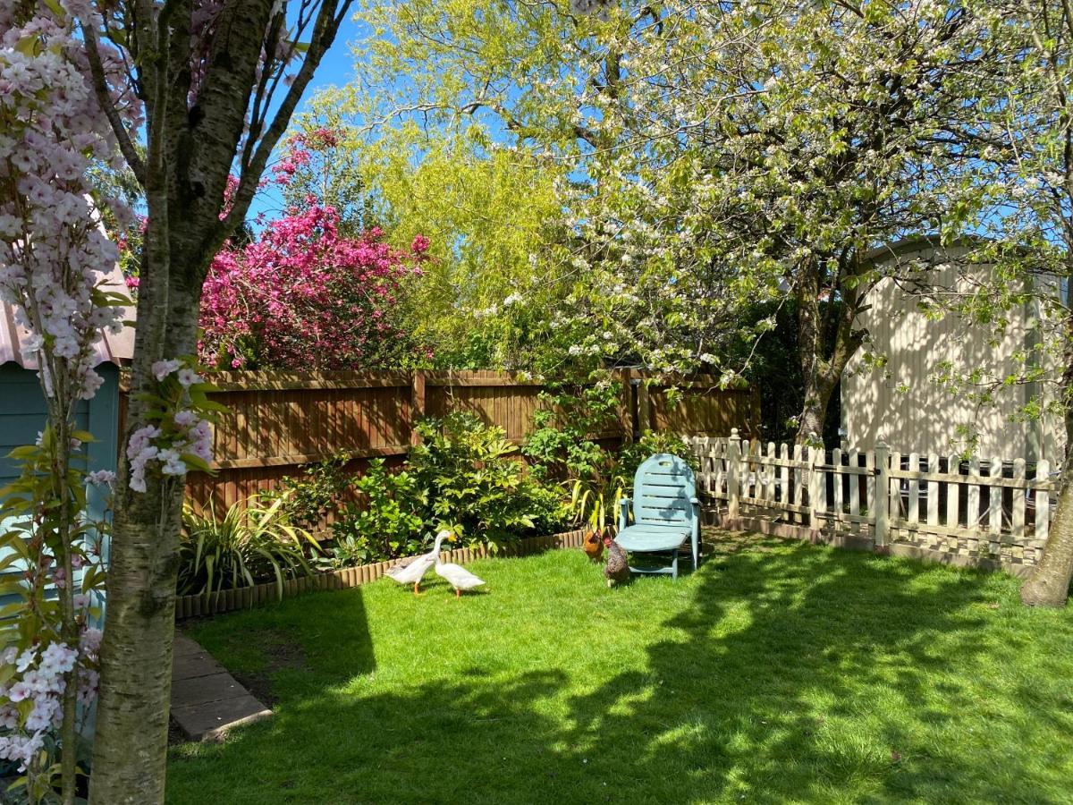 Apartamento The Duck House Swansea Exterior foto